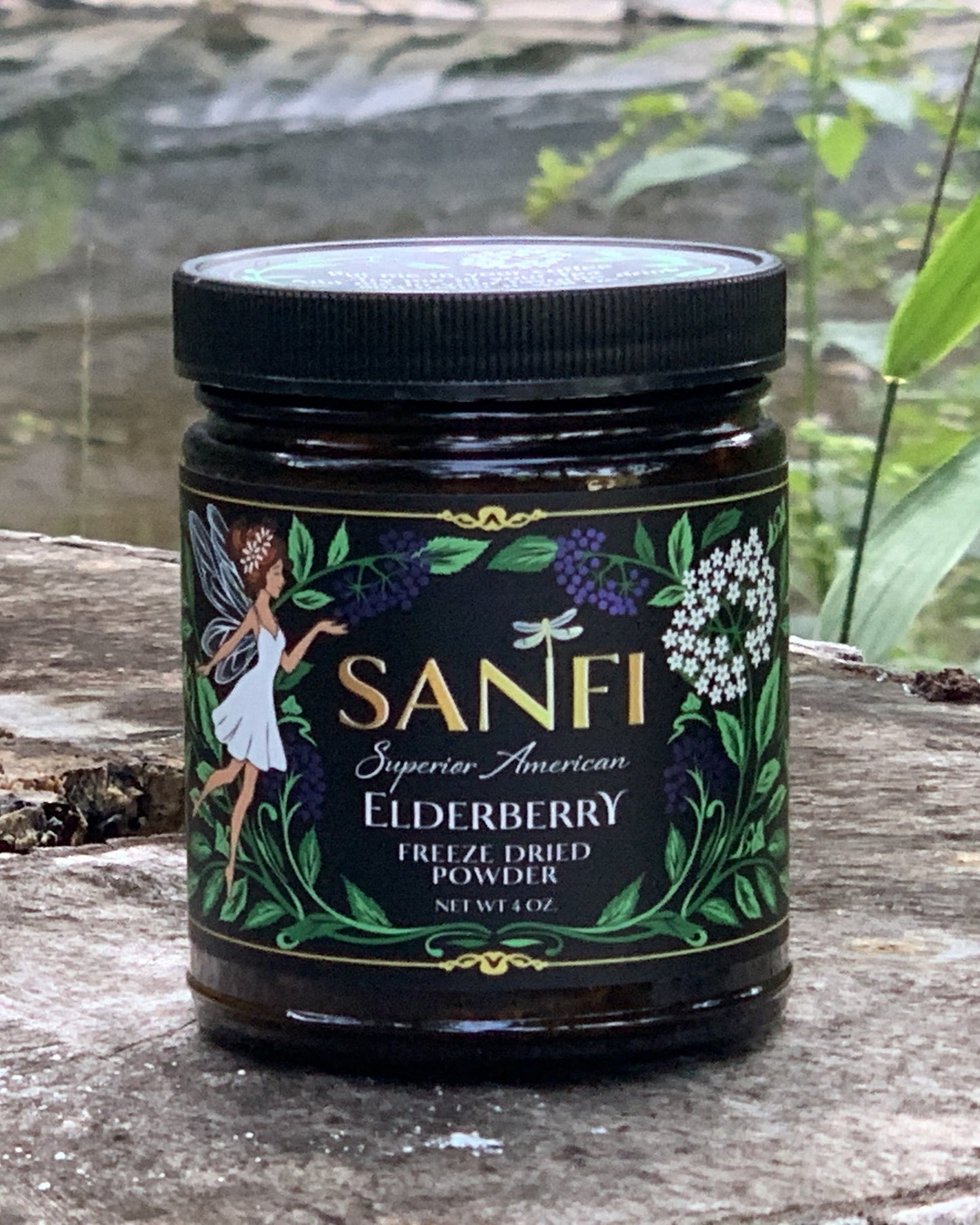 ElderberrY